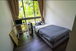 Fernvale Close (D28), Condominium #471225041